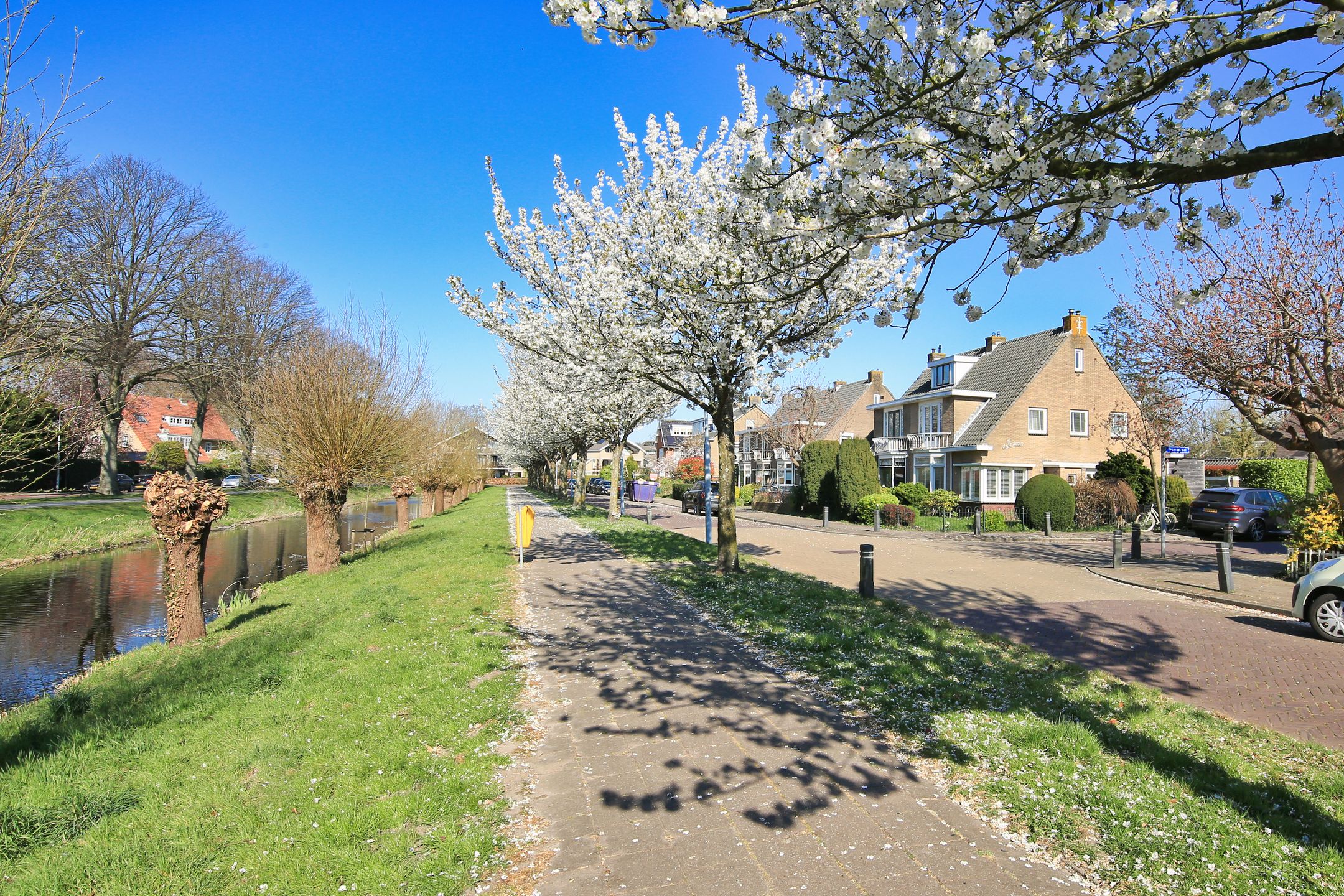 Foto 45 van Parkietstraat 12