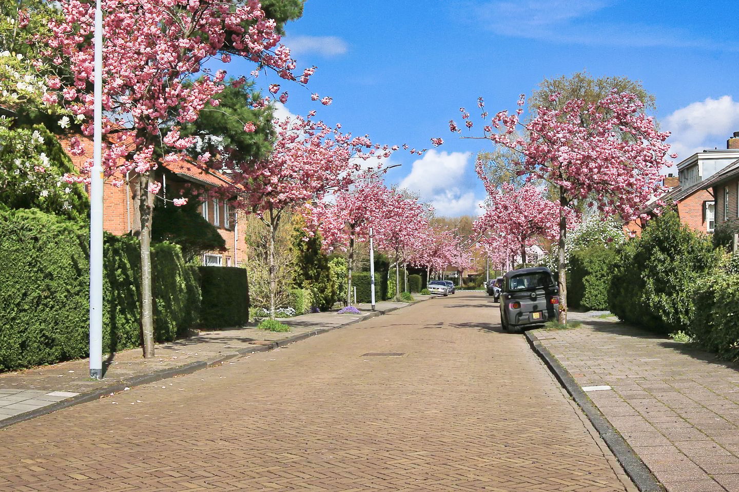 Foto 44 van Parkietstraat 12