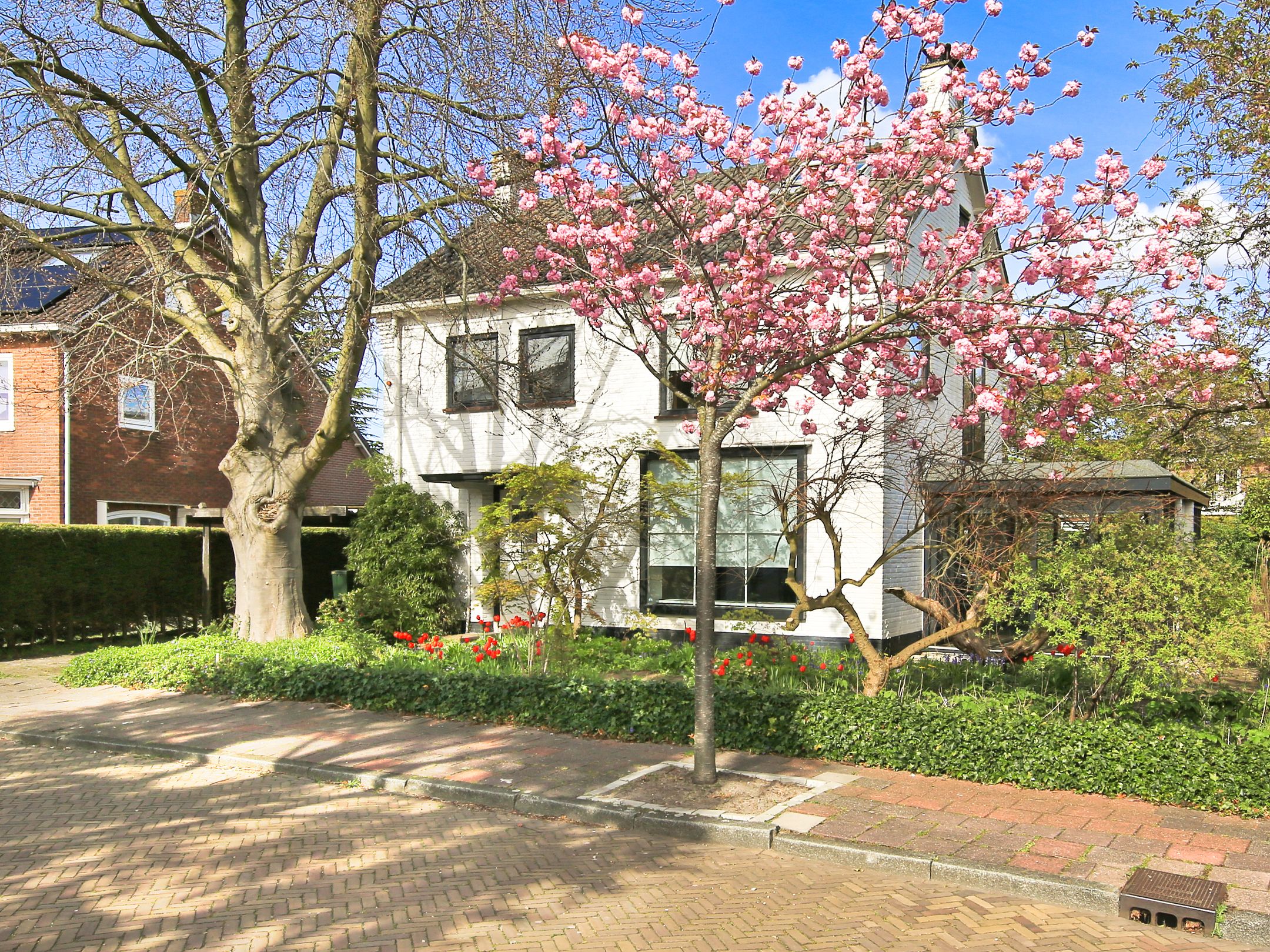 Foto 42 van Parkietstraat 12