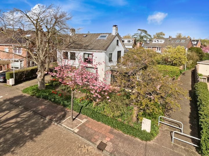 Foto 3 van Parkietstraat 12