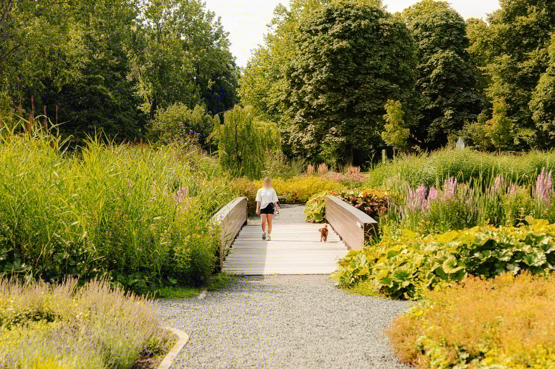 Foto 58 van Diepenbrockstraat 14