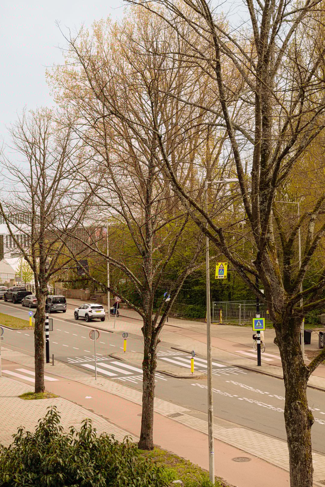 Foto 41 van Diepenbrockstraat 14