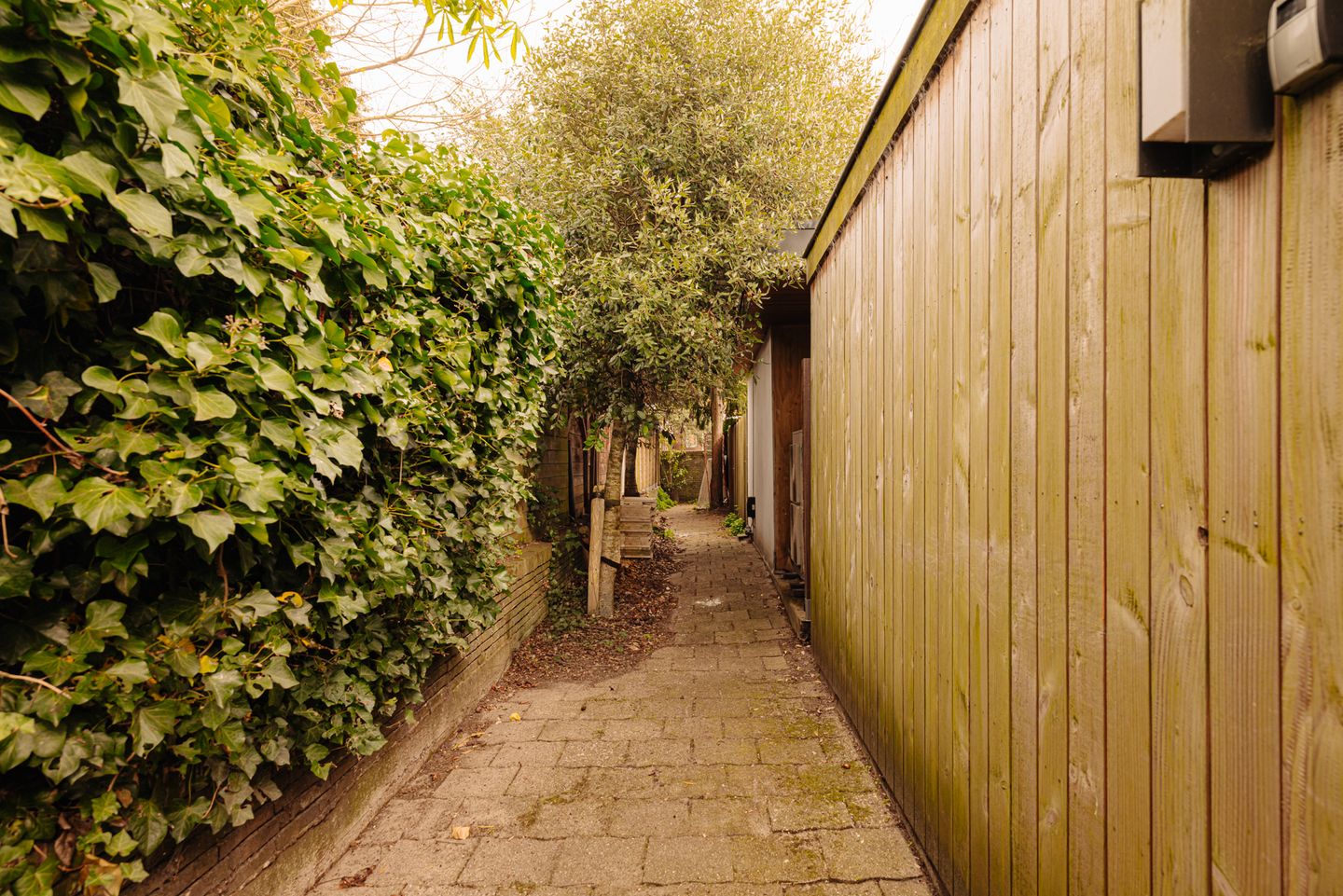 Foto 19 van Diepenbrockstraat 14