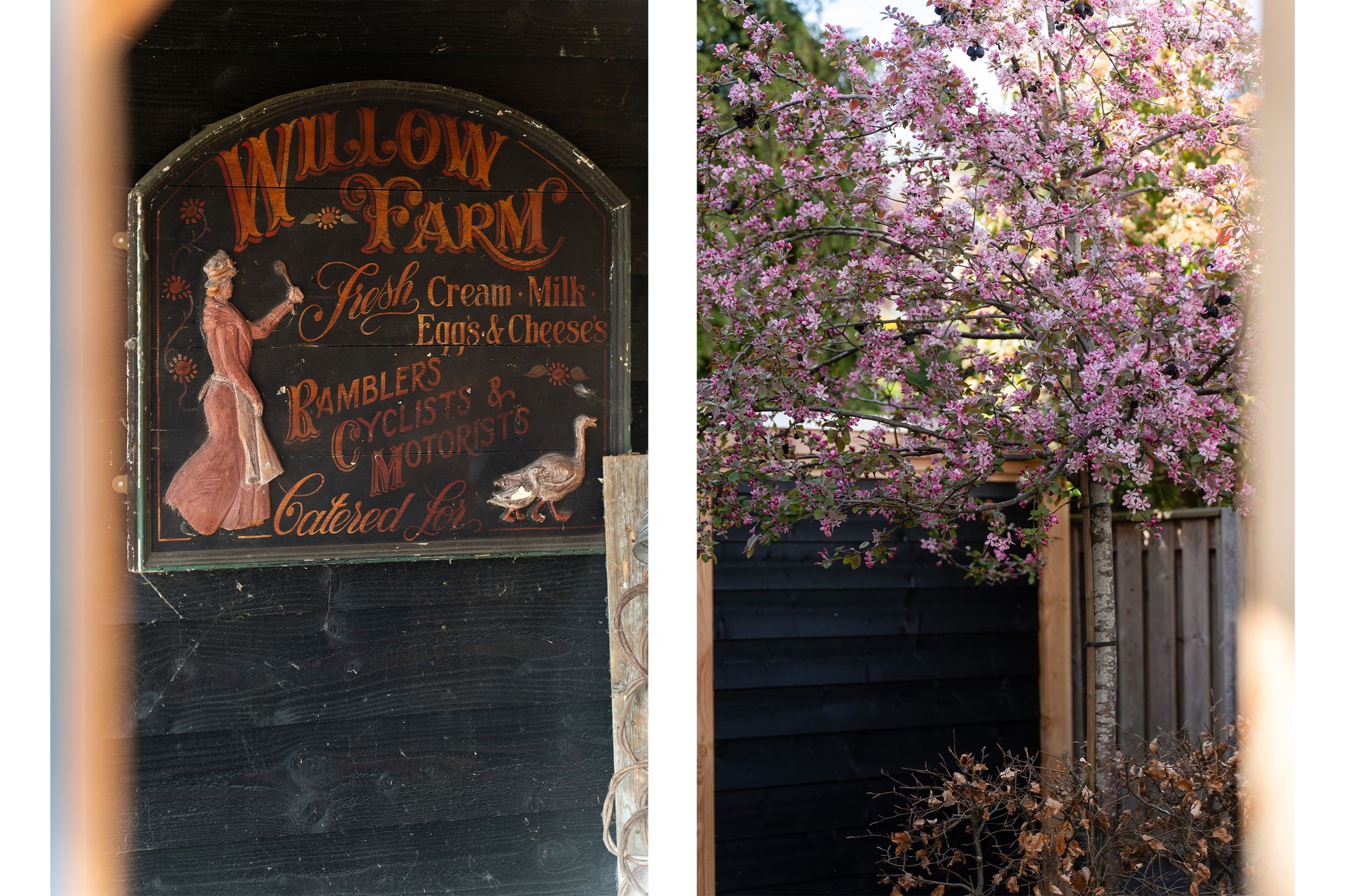 Foto 57 van Havendam 13-B