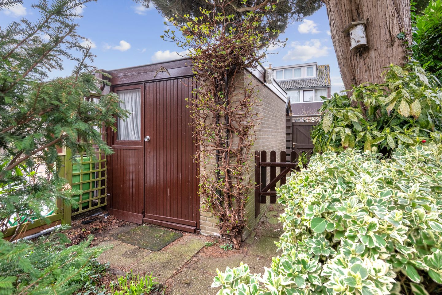 Foto 19 van Professor Eijkmanlaan 54