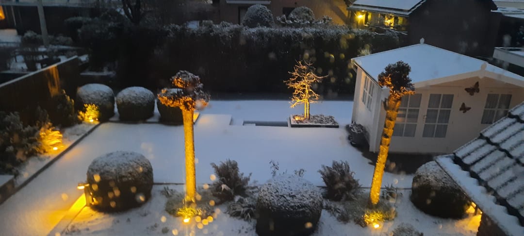 Foto 37 van Violierlaan 60