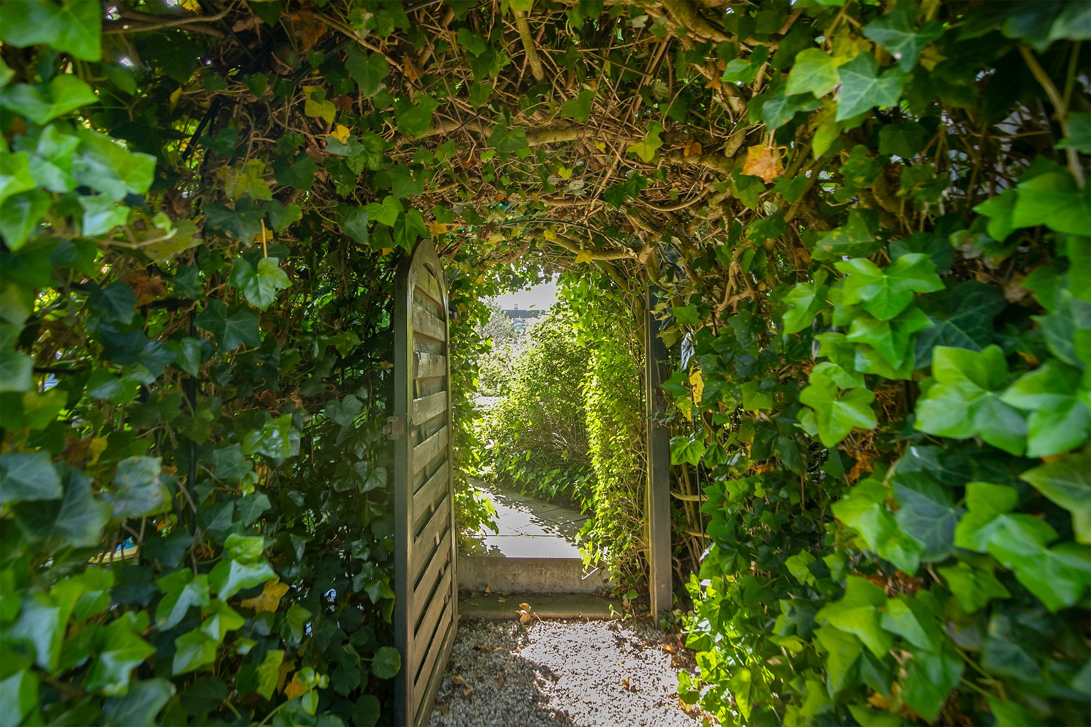 Photo 45 of Rijksstraatweg 131