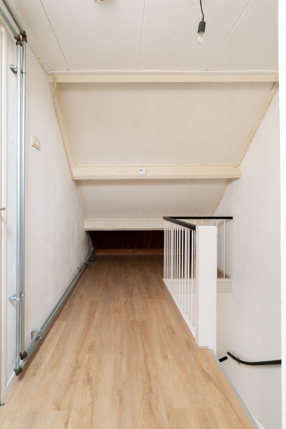 Foto 45 van Sweelinckstraat 29