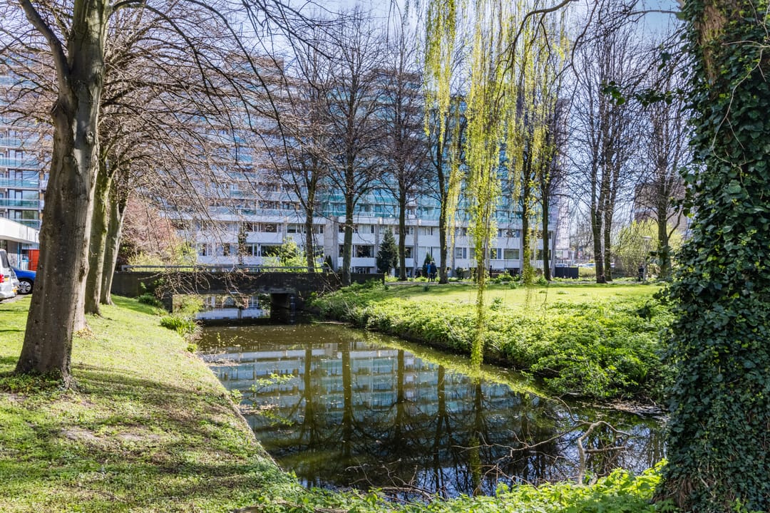 Foto 47 van Forellendaal 236