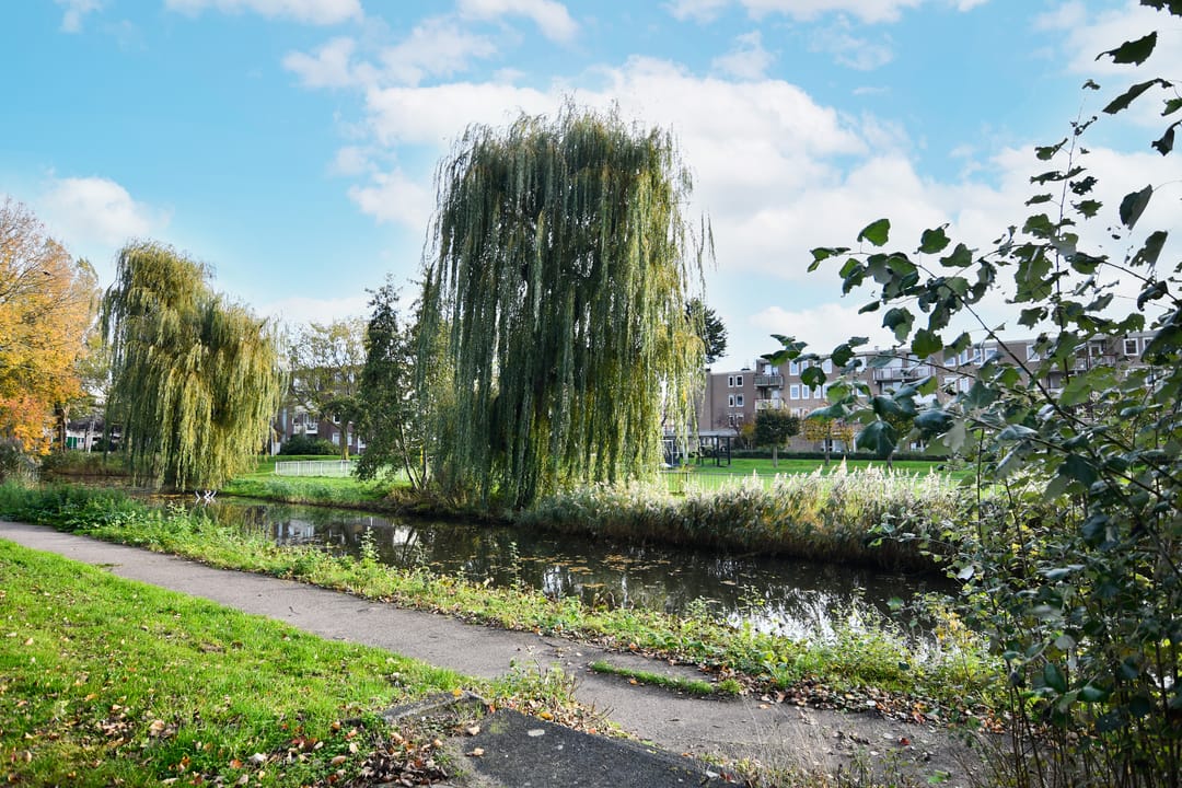 Foto 23 van Werkhovenstraat 71