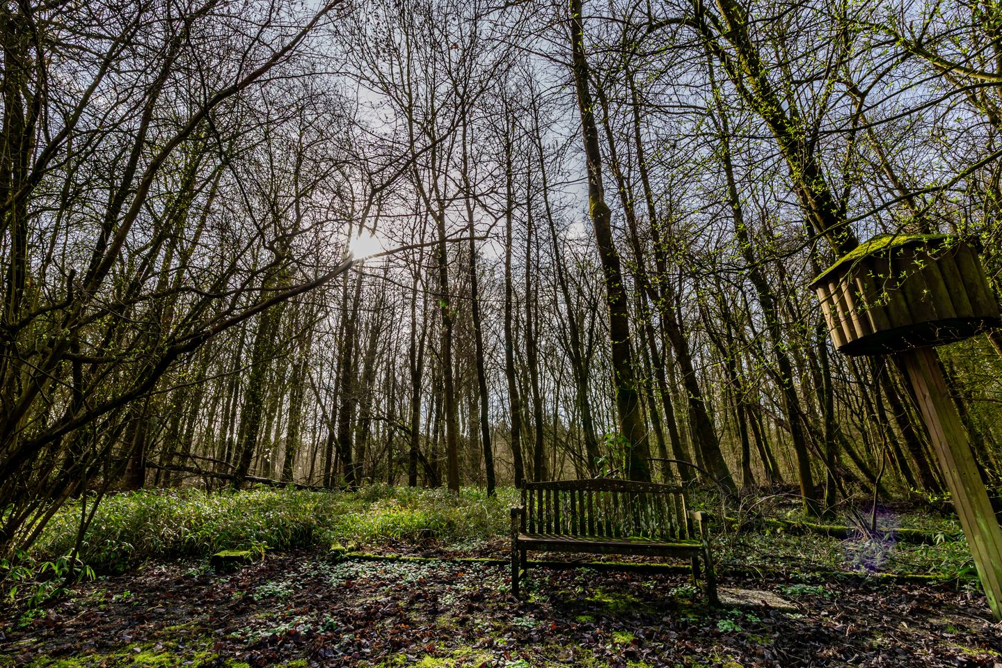 Foto 40 van Rozengaard 17 18