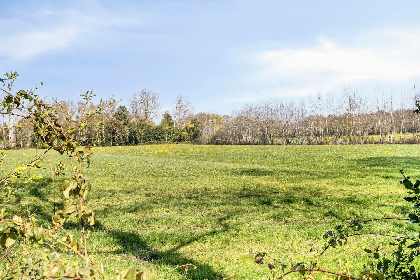 Foto 59 van Schuinpad 40