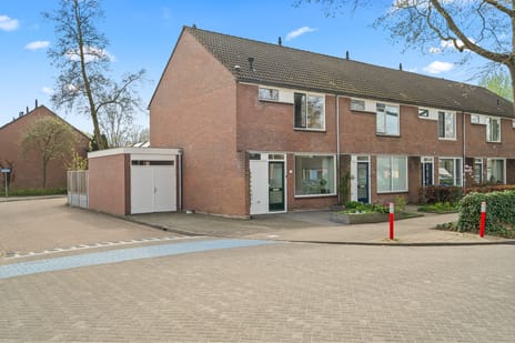 Lupinestraat thumbnail