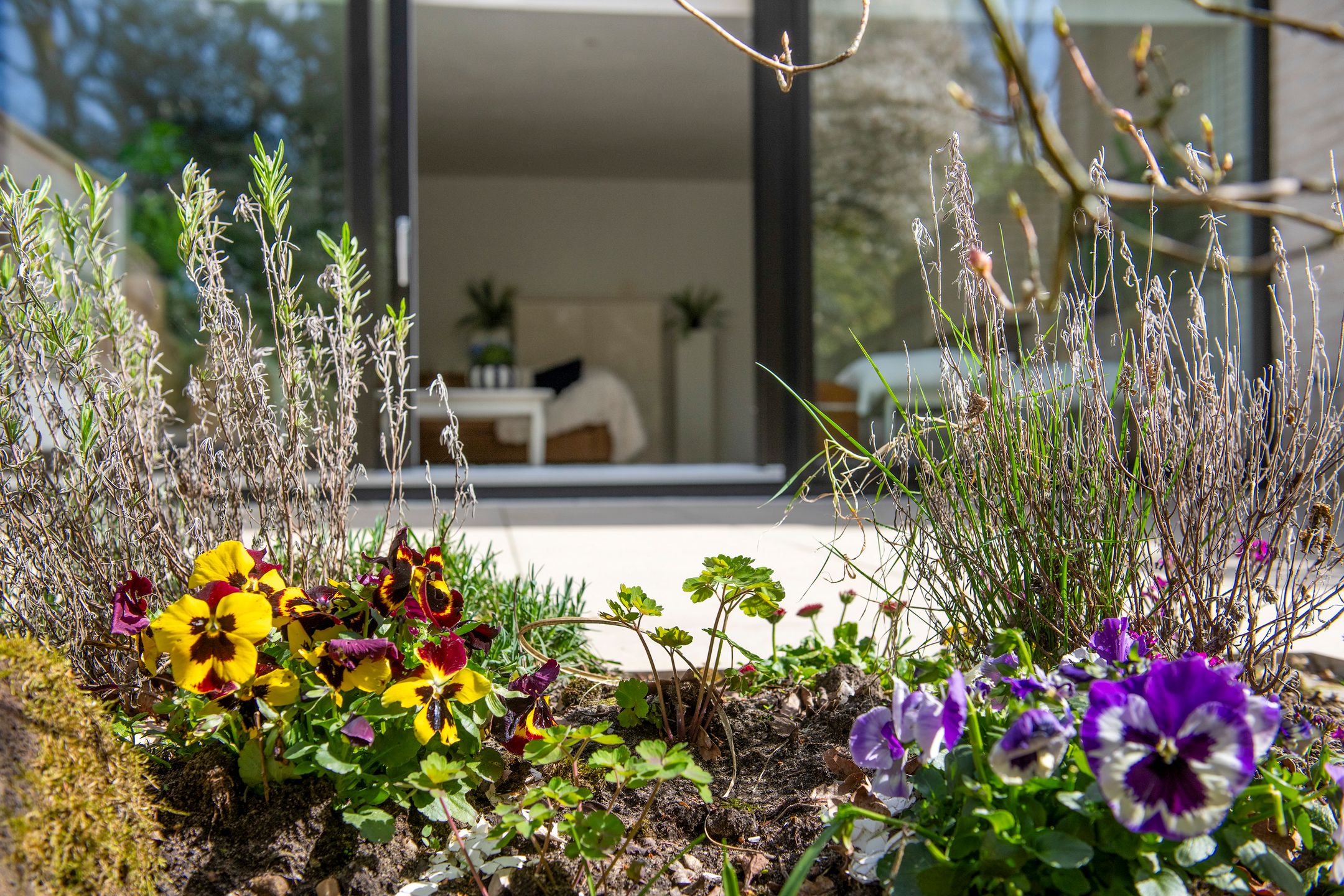 Photo 57 of Dalweg 68