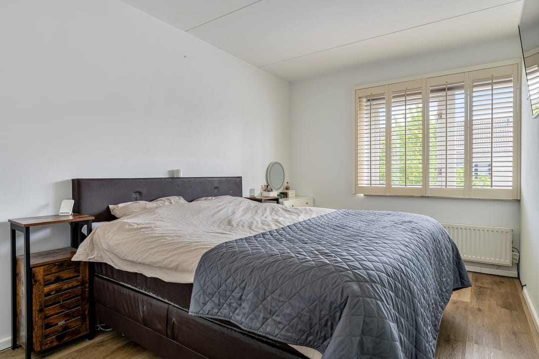 Photo 13 of Zilverschoon 22