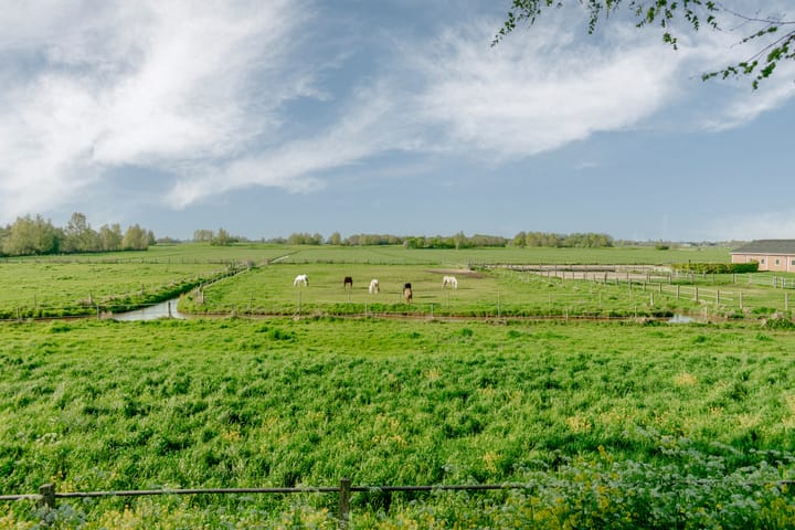 Foto 2 van Burgemeester Padmosweg 84