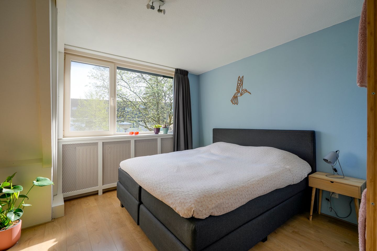 Foto 25 van Secretaris de Jonglaan 7