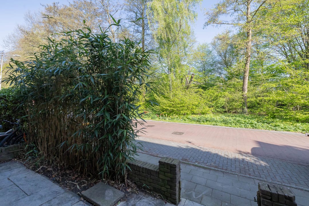 Foto 52 van Bos en Vaartlaan 14