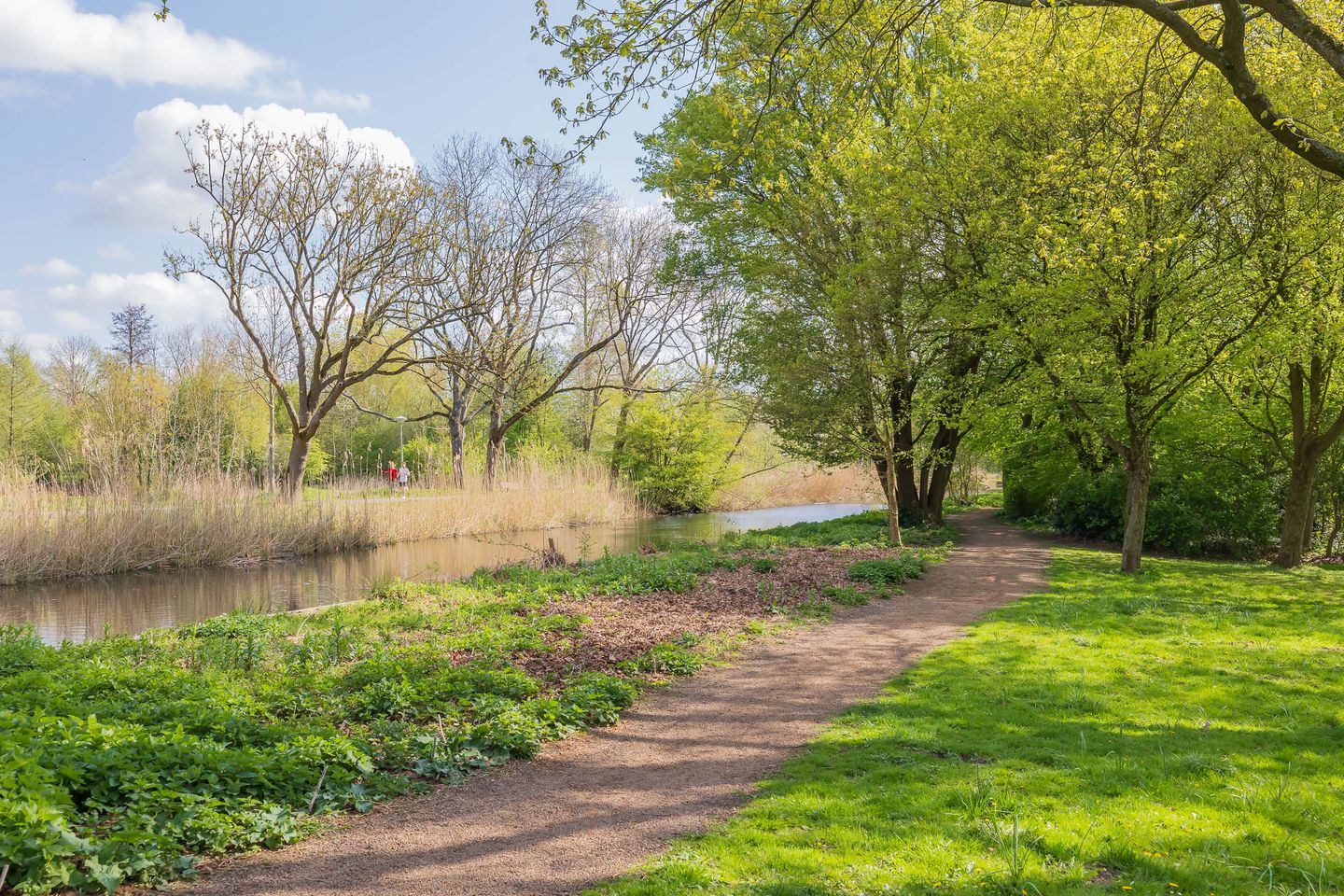 Foto 55 van Bos en Vaartlaan 14