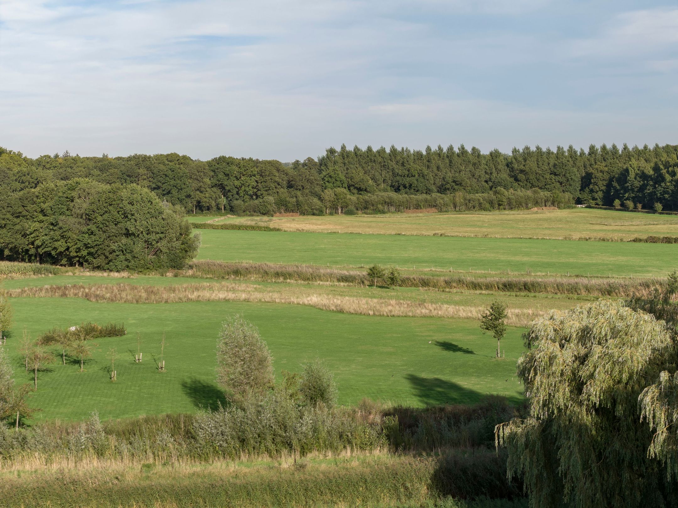 Foto 48 van Philip van Praagstraat 6