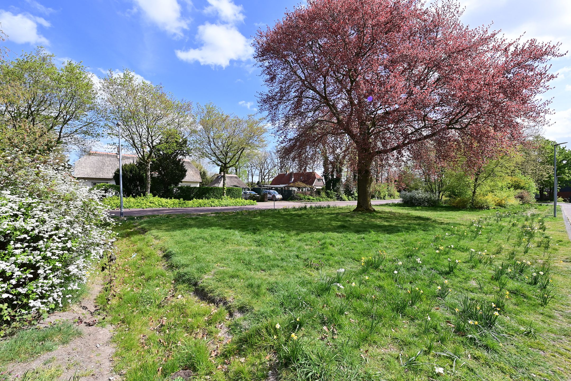 Foto 18 van Smeekweg 64