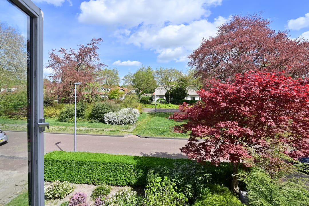 Foto 13 van Smeekweg 64