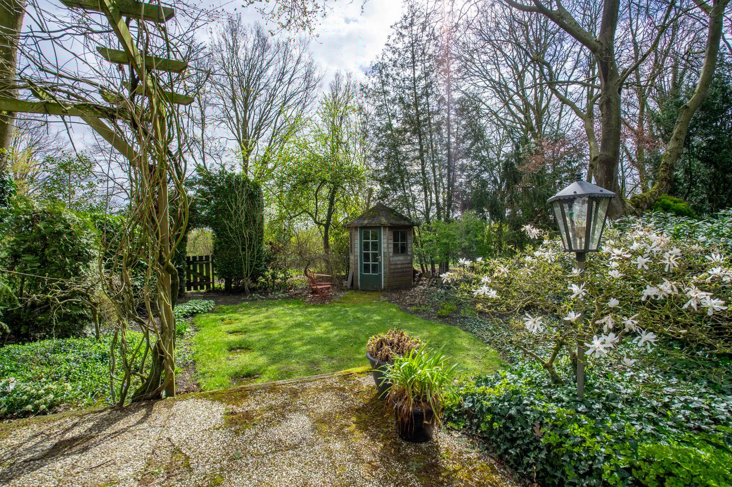 Foto 5 van Bergroosstraat 16