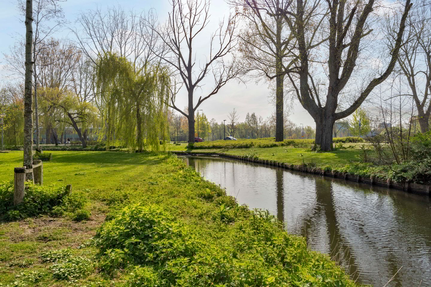 Foto 40 van Molensingel 125