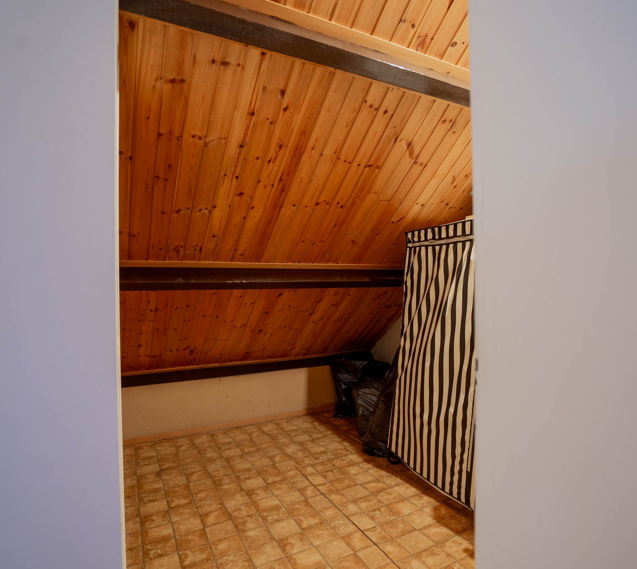 Foto 36 van Bergroosstraat 16