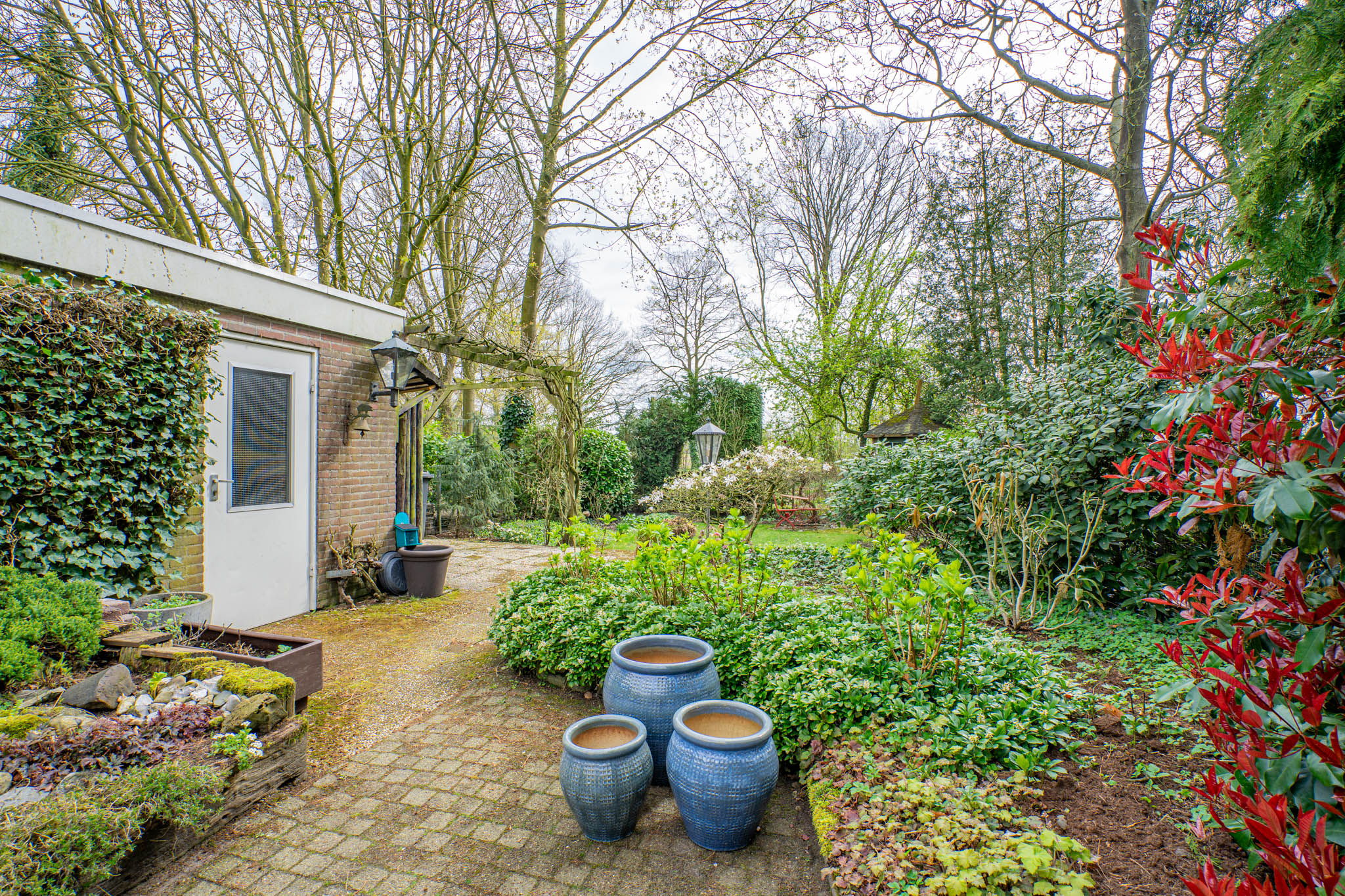 Foto 42 van Bergroosstraat 16