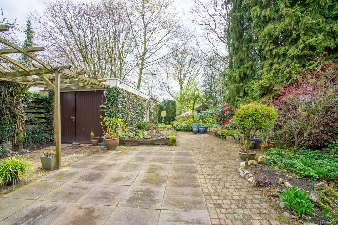 Foto 43 van Bergroosstraat 16