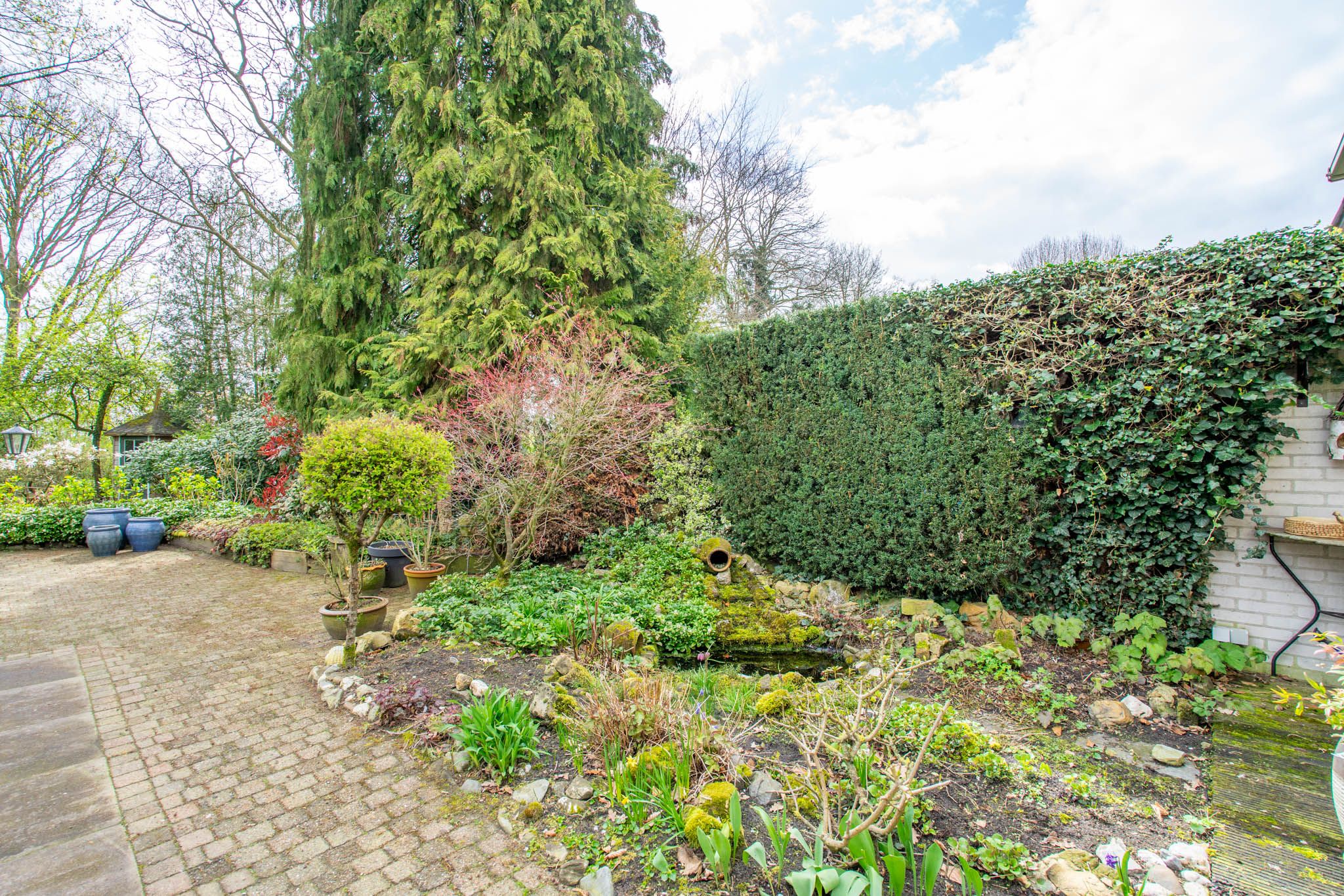 Foto 45 van Bergroosstraat 16