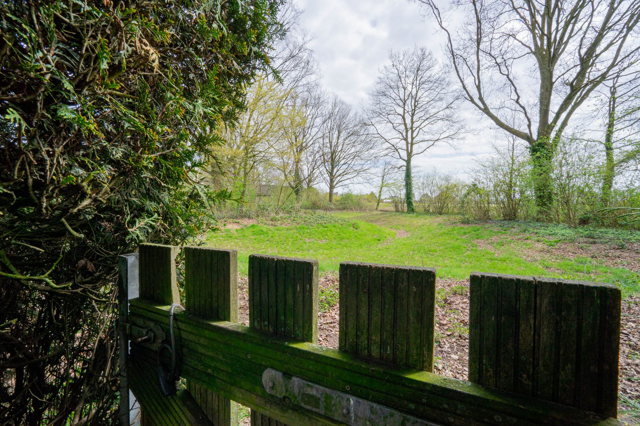 Foto 48 van Bergroosstraat 16