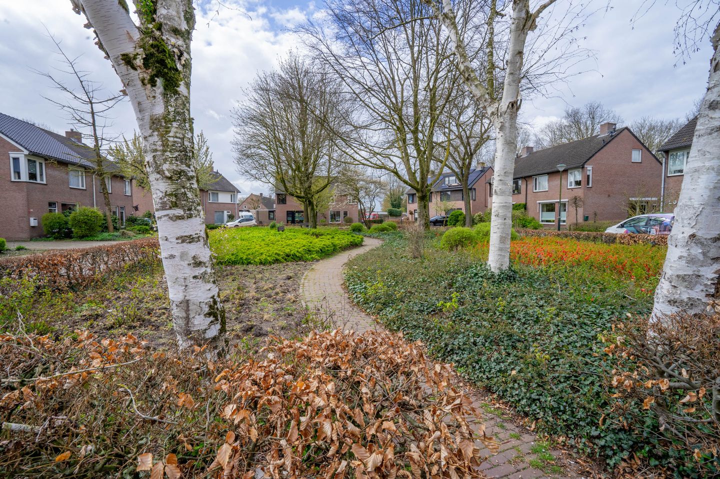 Foto 49 van Bergroosstraat 16