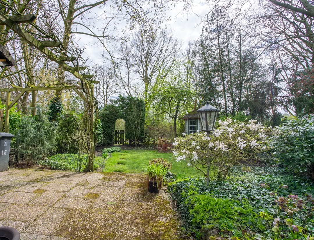 Foto 46 van Bergroosstraat 16