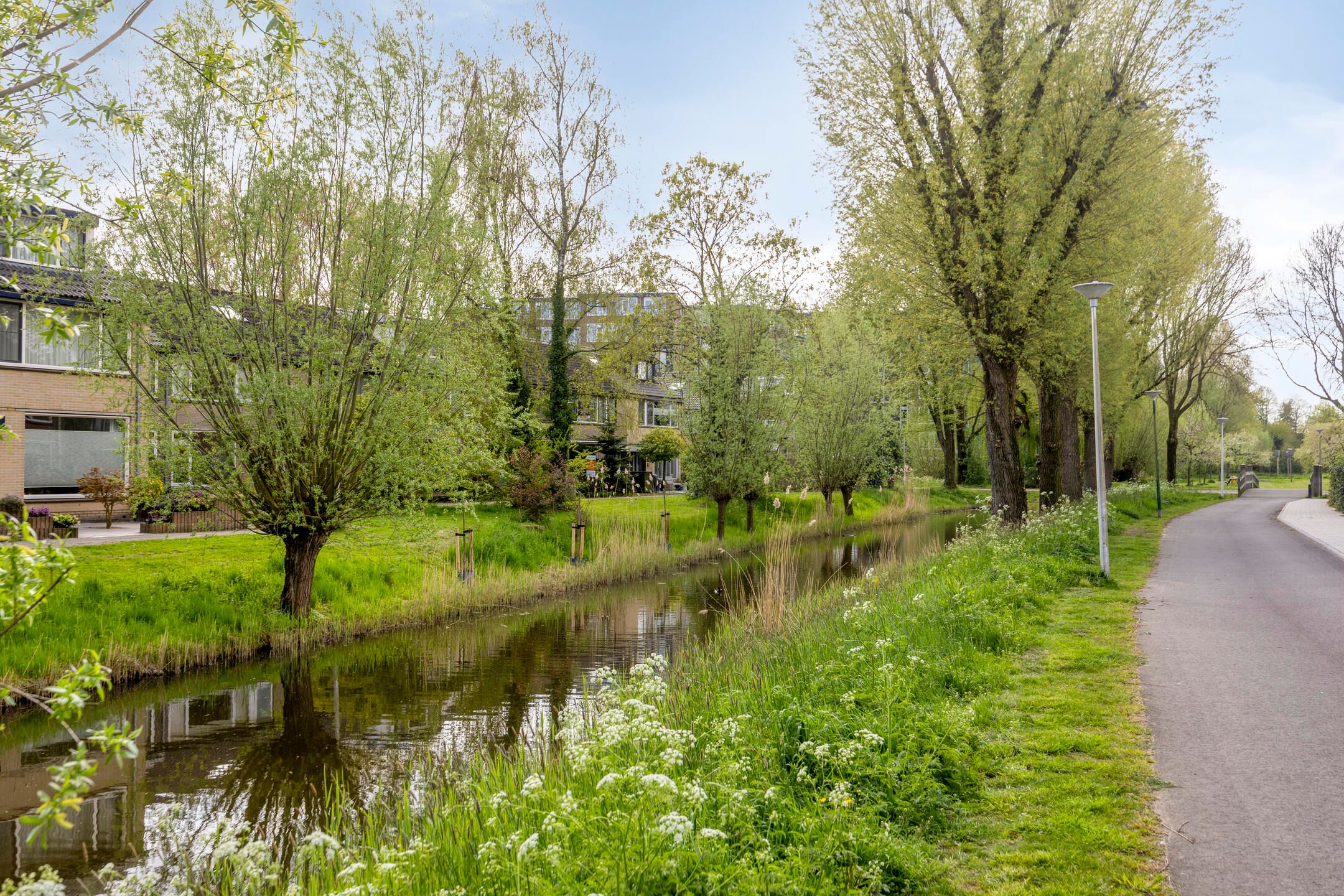 Foto 42 van Amarilpad 7