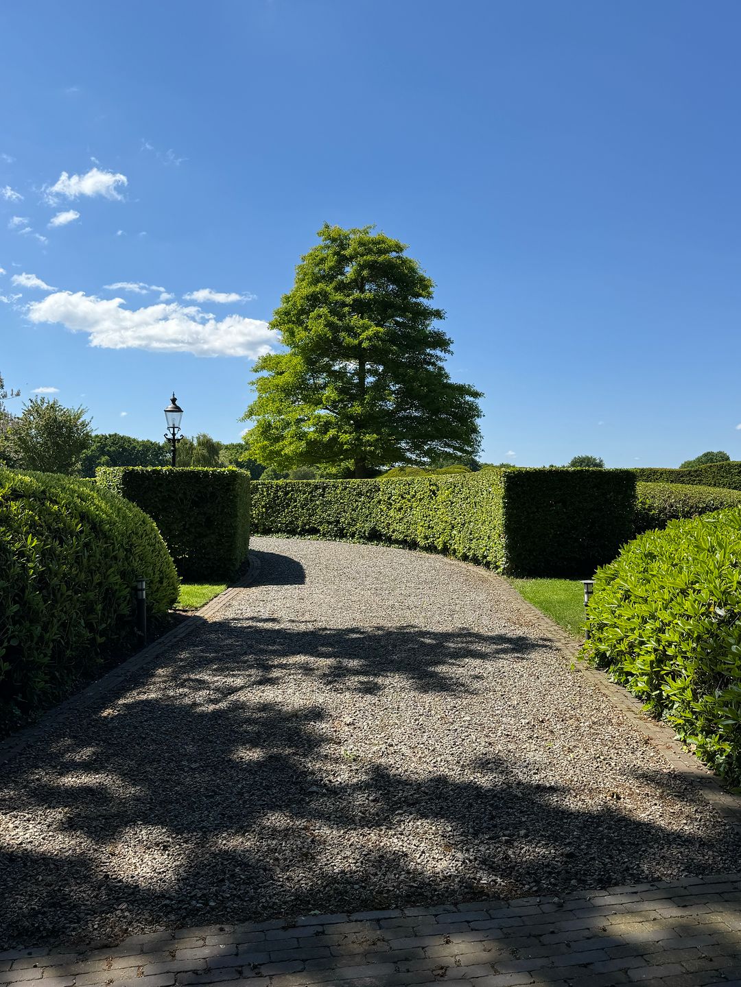 Photo 101 of Molenweg 28