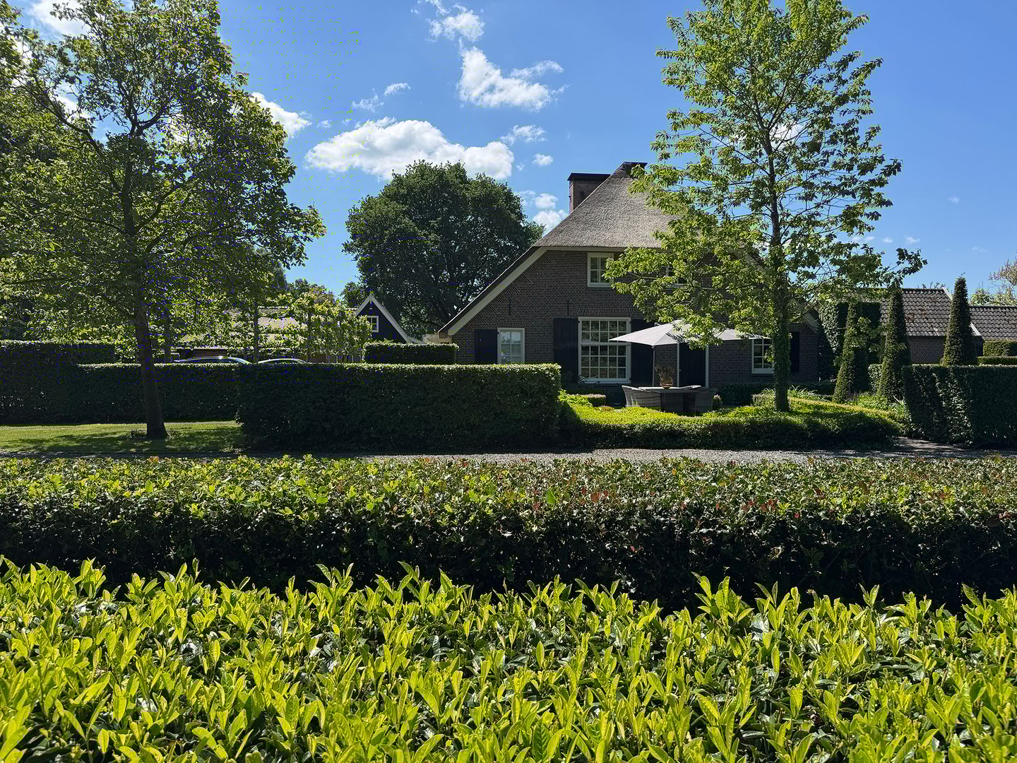 Photo 104 of Molenweg 28