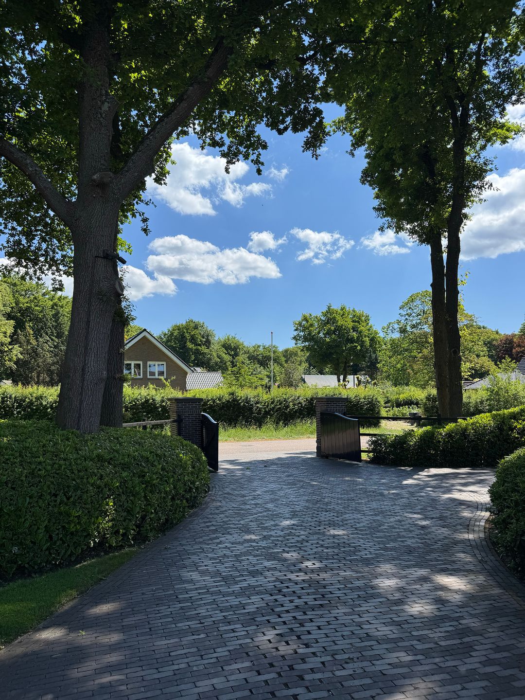 Photo 106 of Molenweg 28