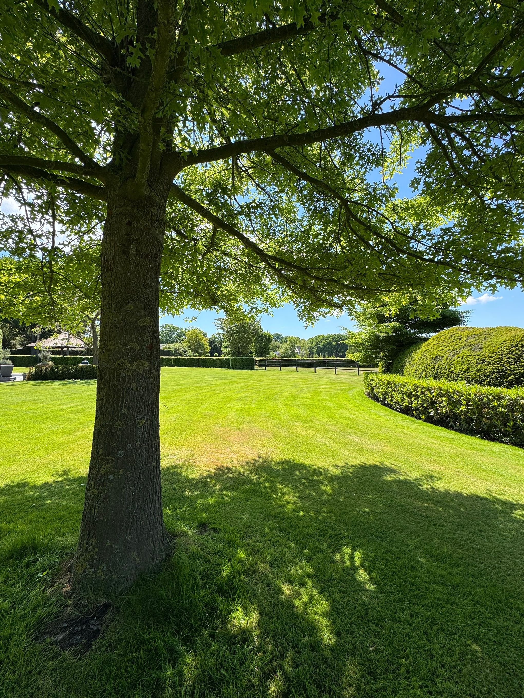 Photo 99 of Molenweg 28