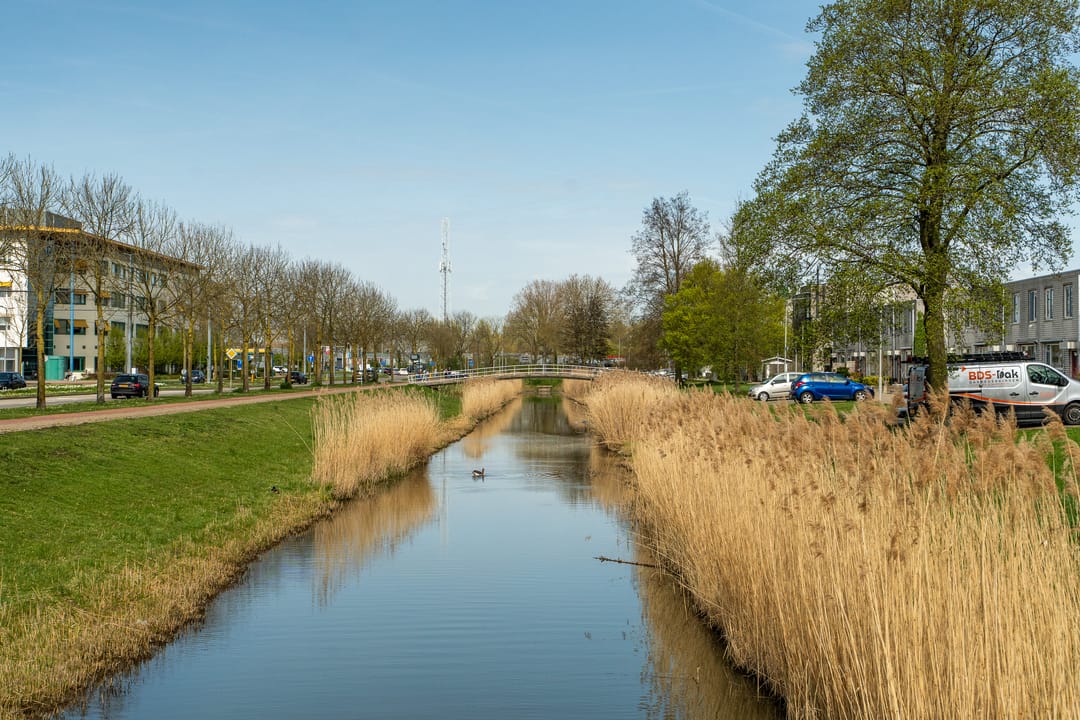 Foto 26 van Dr. Willem Dreessingel 247