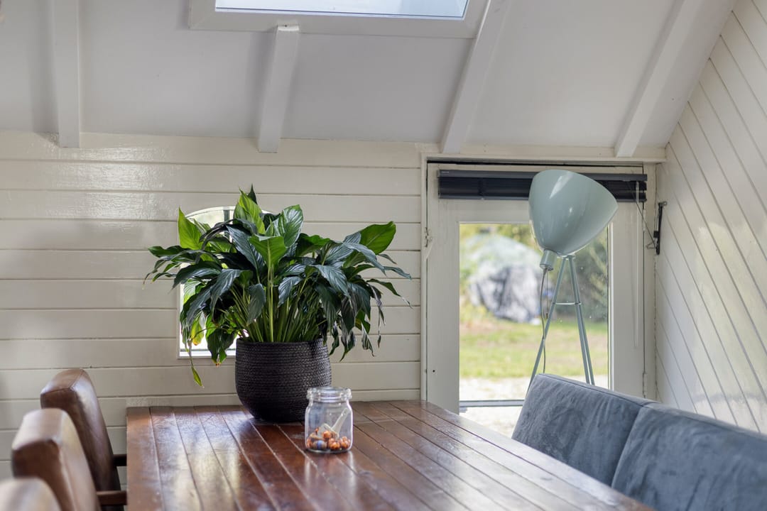 Photo 17 of Kanaal N.Z. 4