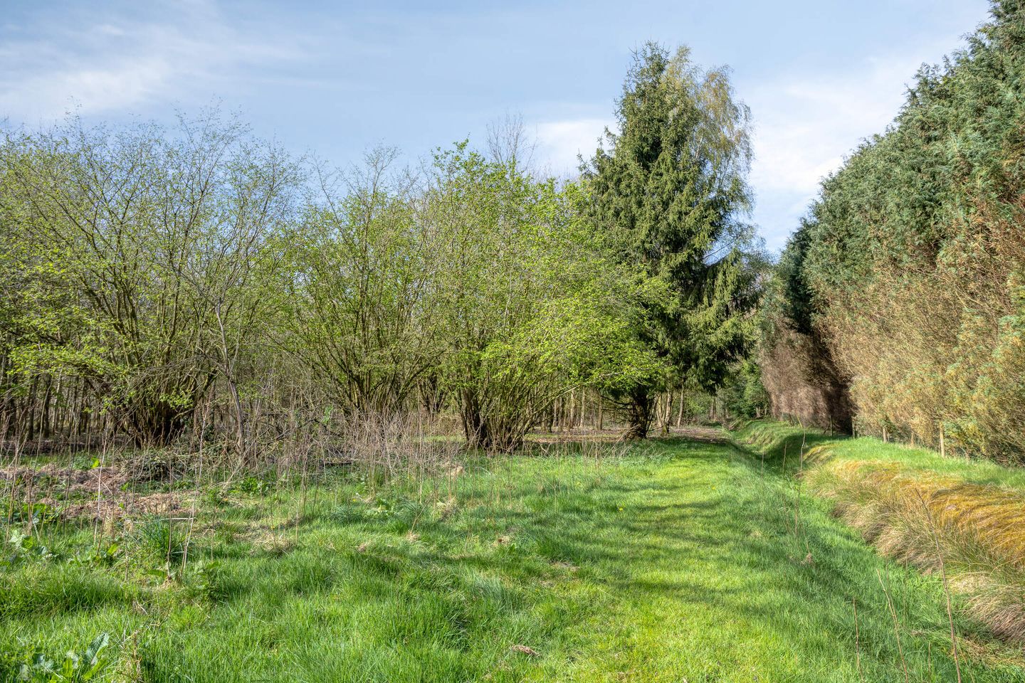 Photo 74 of Kanaal N.Z. 4