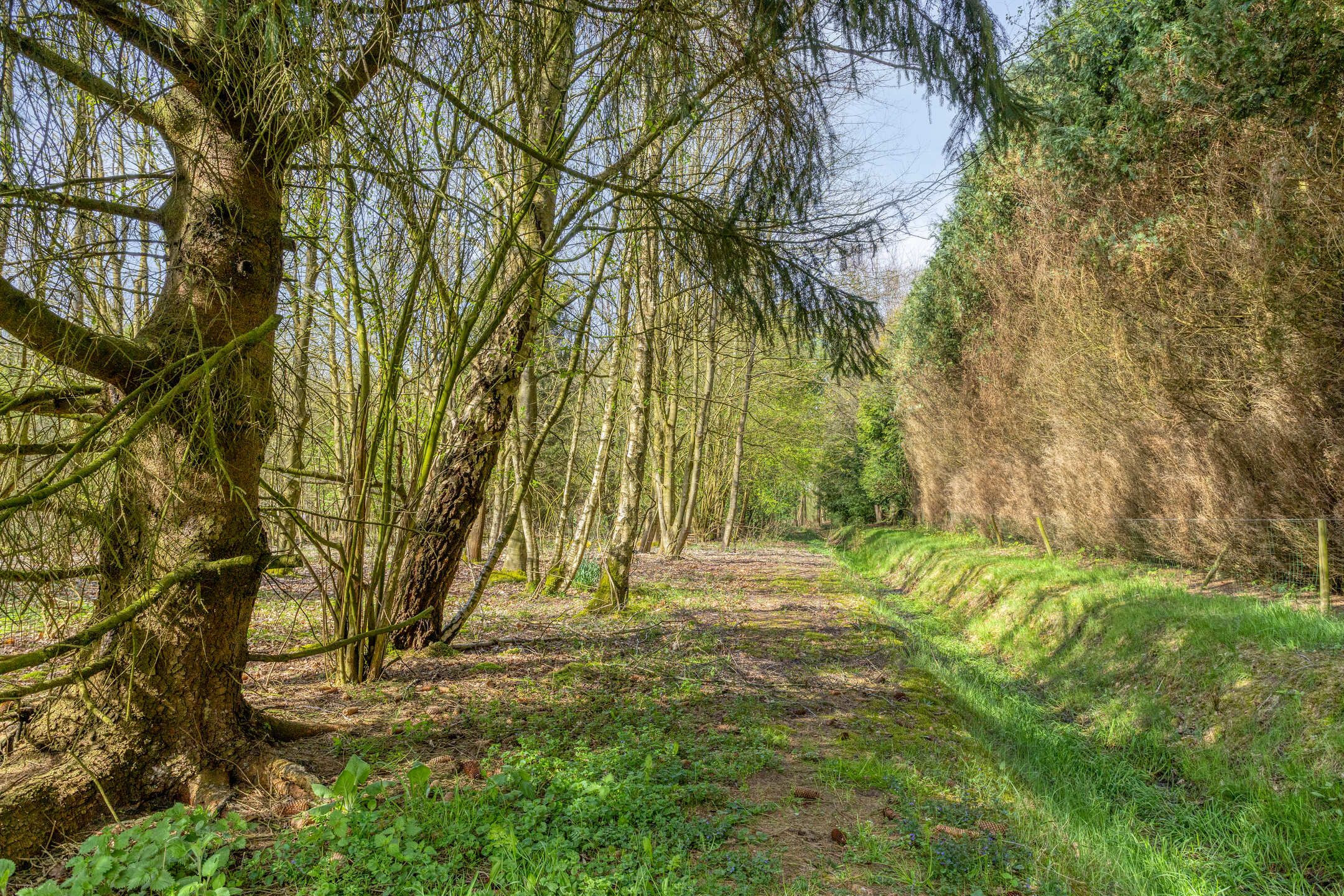 Photo 75 of Kanaal N.Z. 4