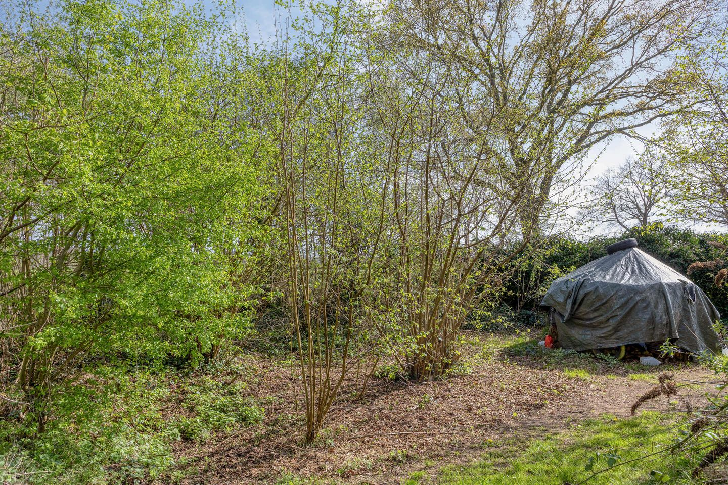 Photo 70 of Kanaal N.Z. 4