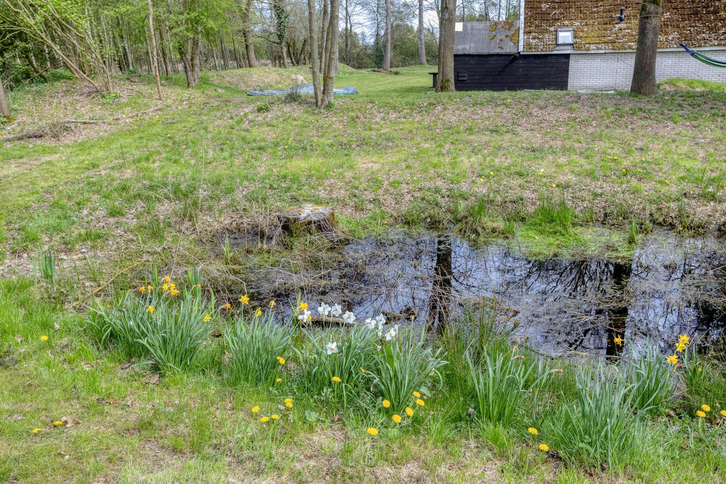 Photo 59 of Kanaal N.Z. 4