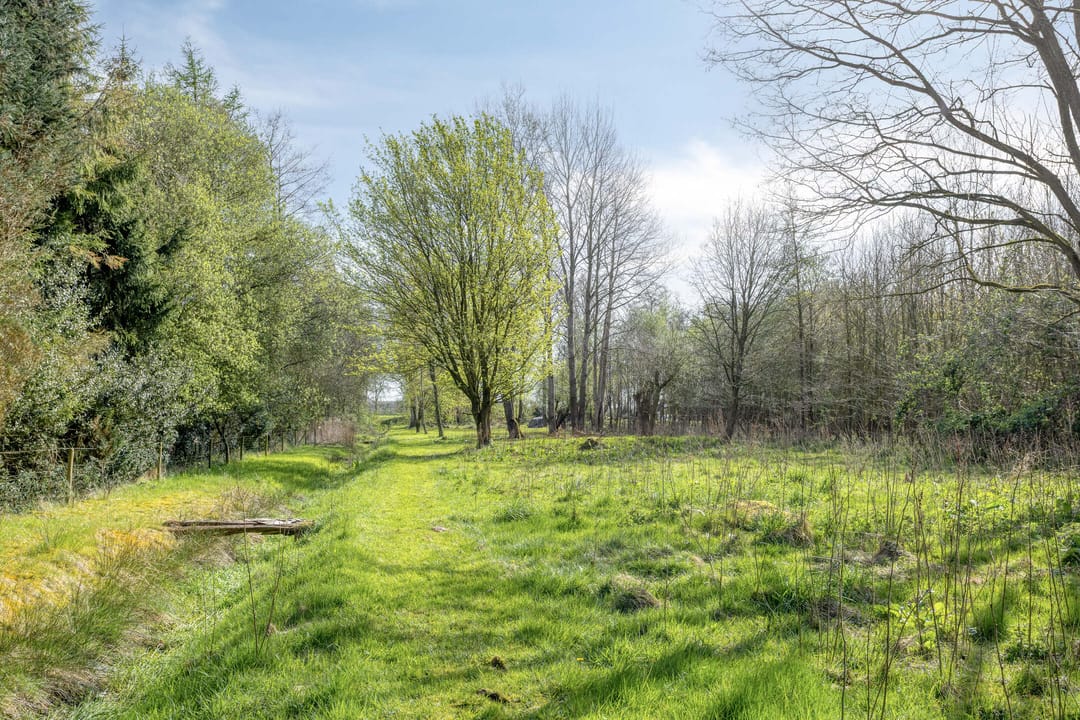 Photo 76 of Kanaal N.Z. 4