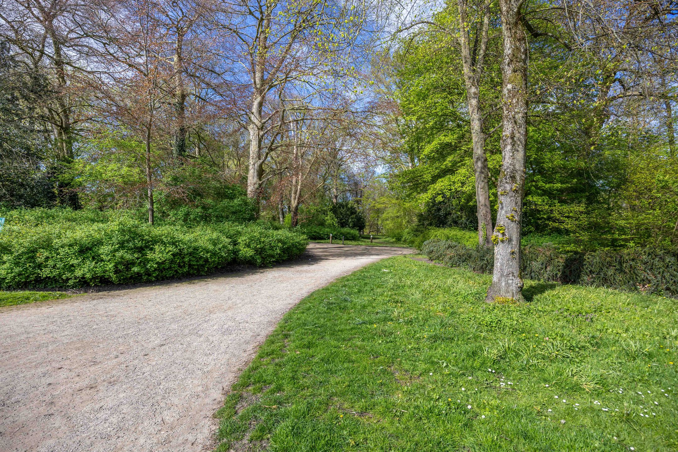 Foto 39 van Riouwstraat 11-A