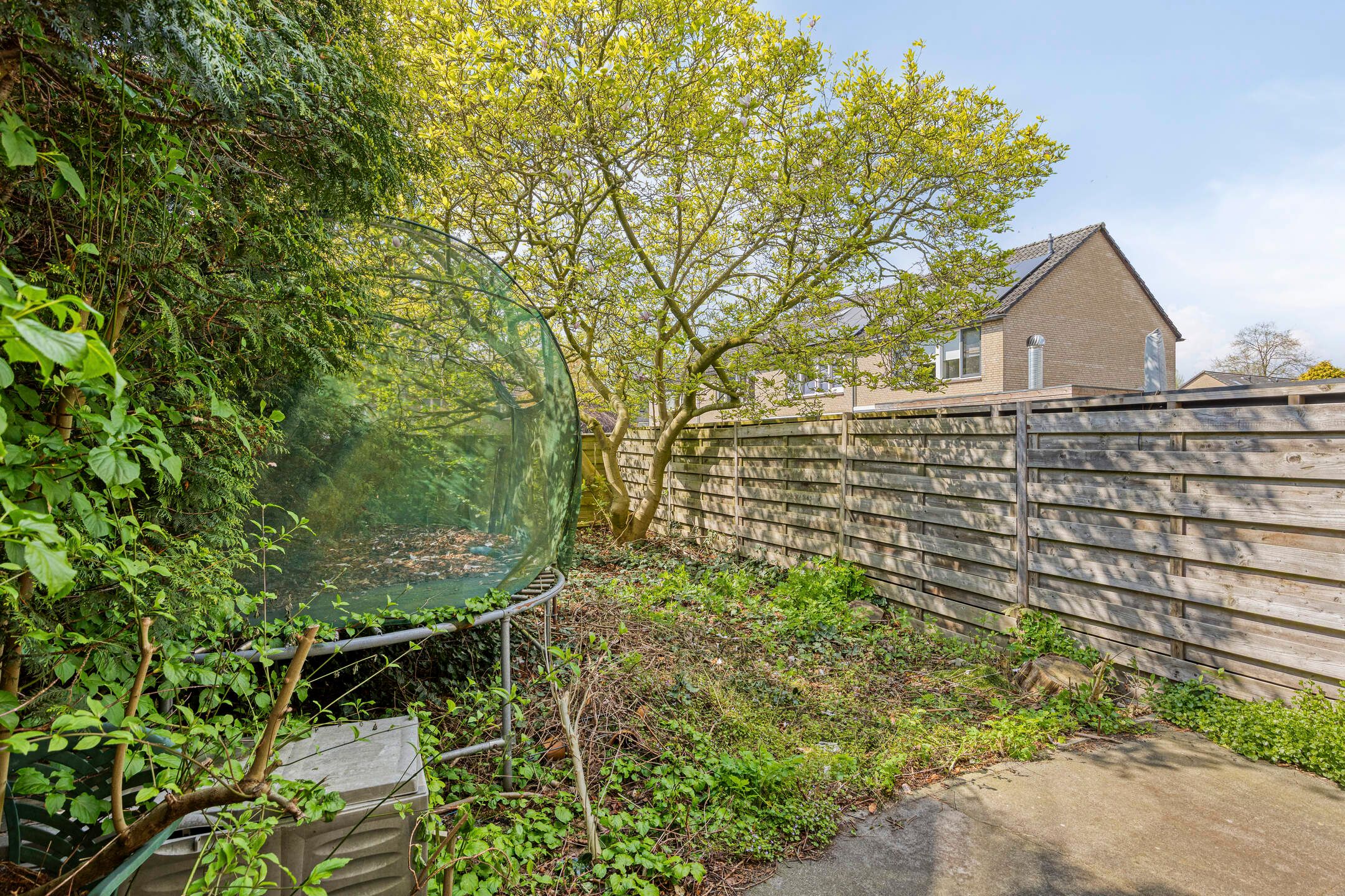 Foto 24 van Meeuwdonk 82