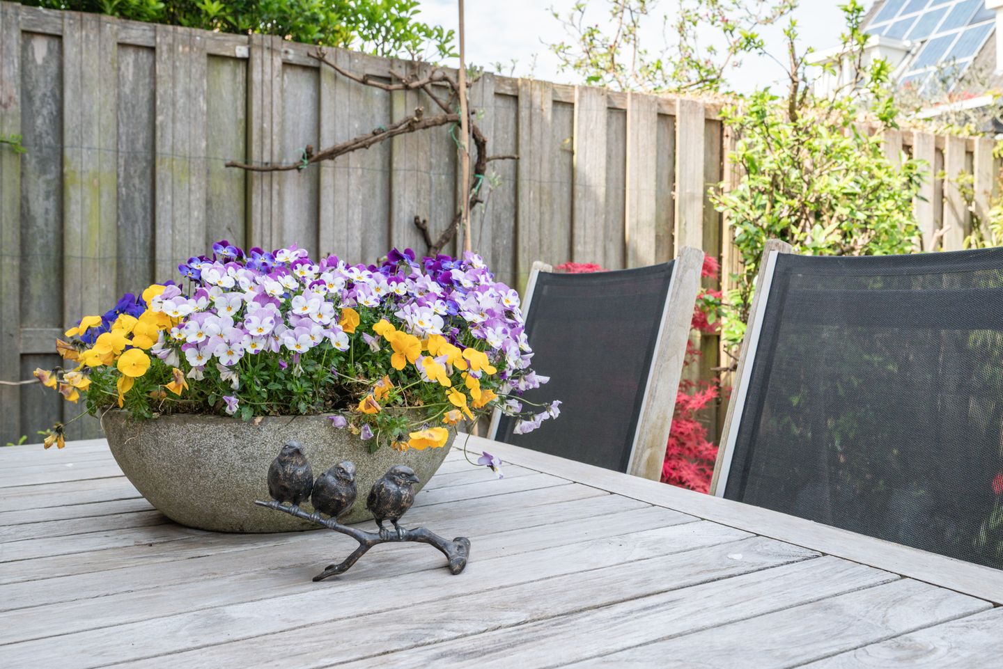 Foto 49 van Henk Barnardsingel 10